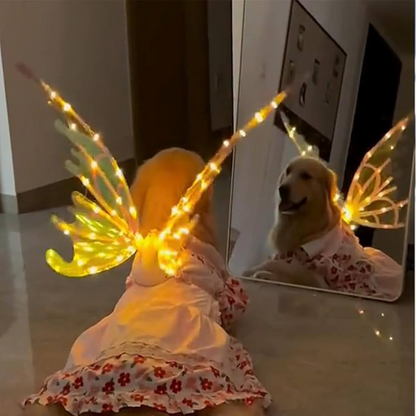 Magic Led Wings