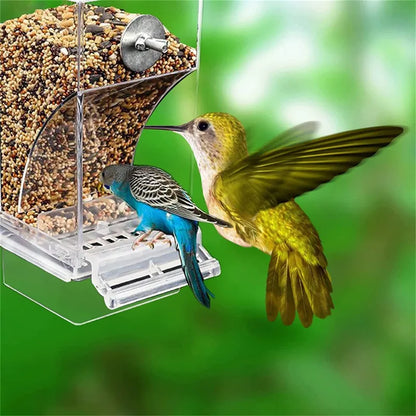 Automatic Bird Feeder