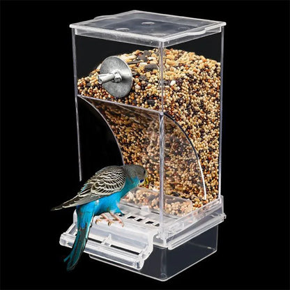 Automatic Bird Feeder