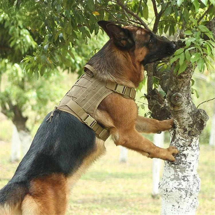 Tactical Dog Harness